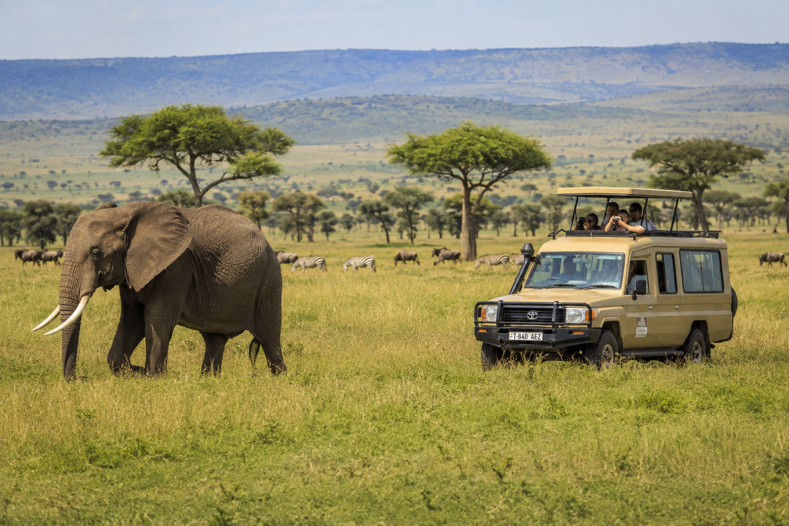 Northern Circuit Safari