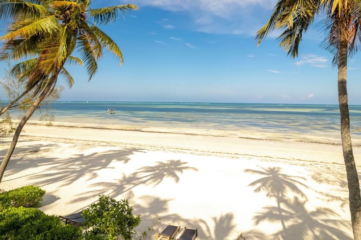 Best time to visit Zanzibar