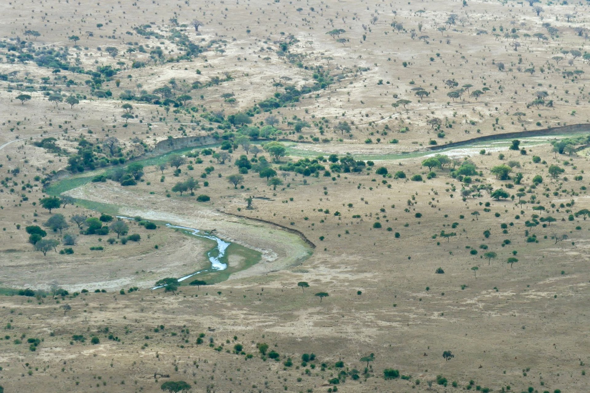 3-Day Zanzibar to Nyerere Fly-in Safari