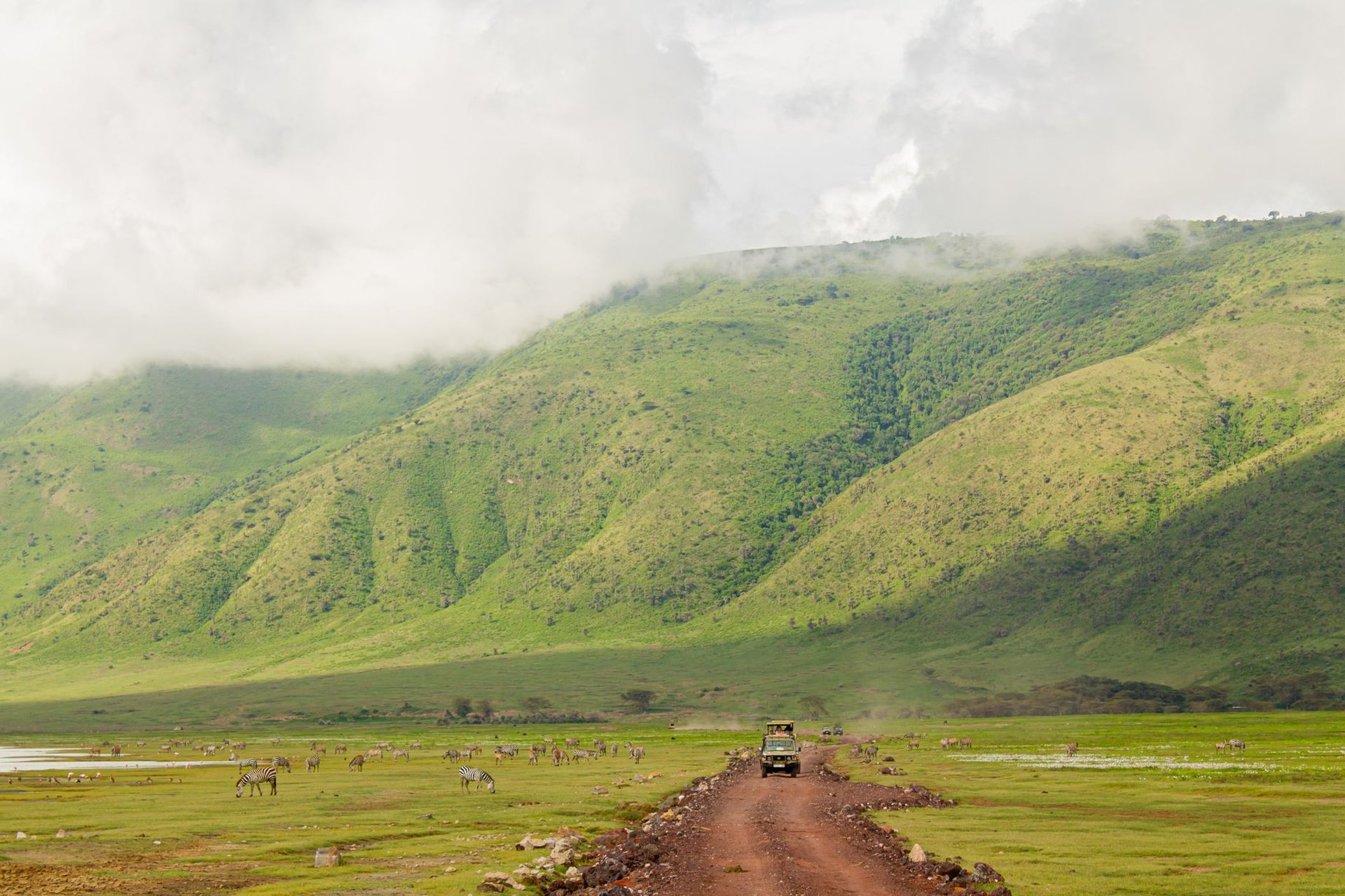 Northern Circuit Safari