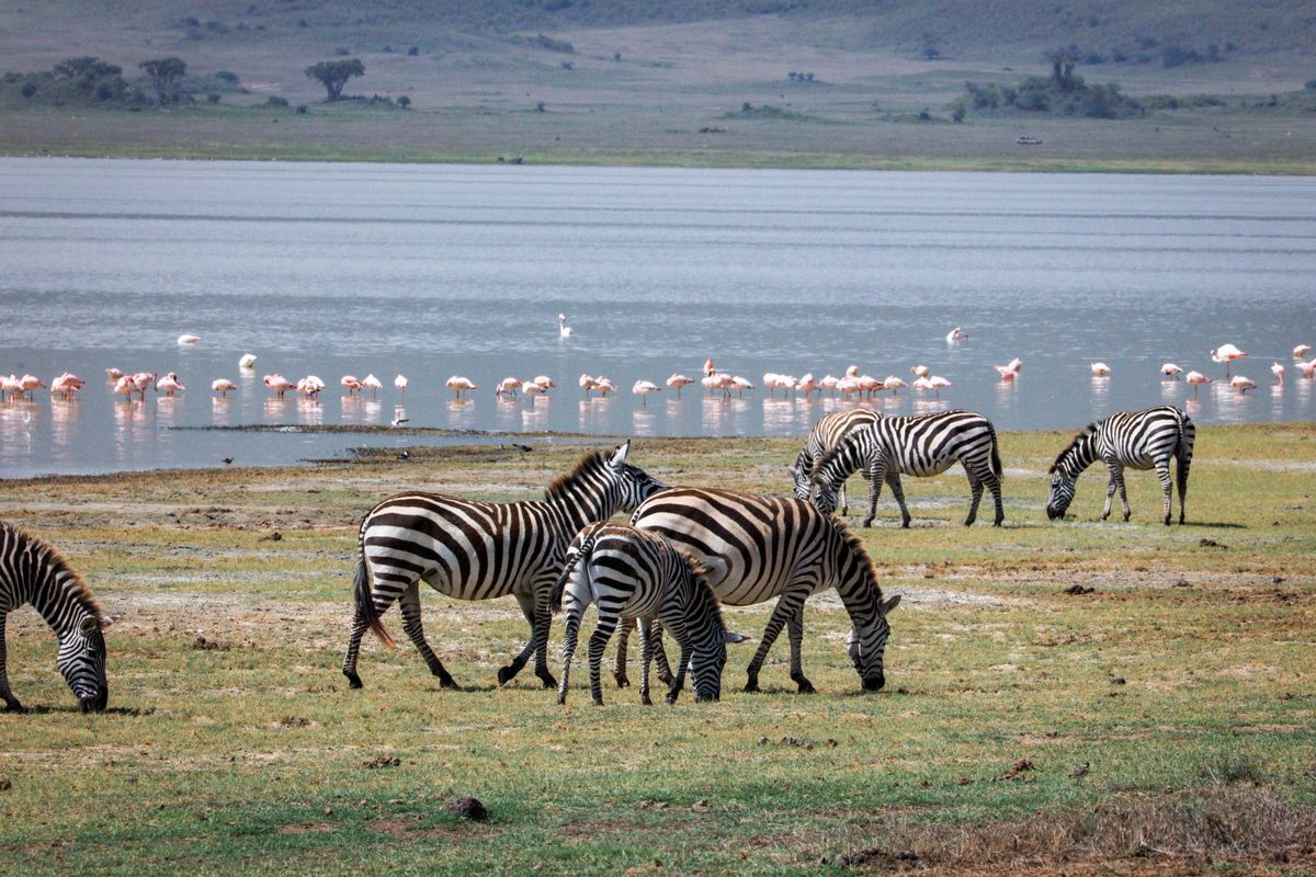 Lake Manyara